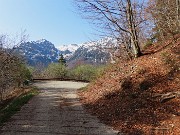 36  Si esce per un attimo dal bosco per attraversare la strada agrosilvopastorele per poi rientrare nel bosco